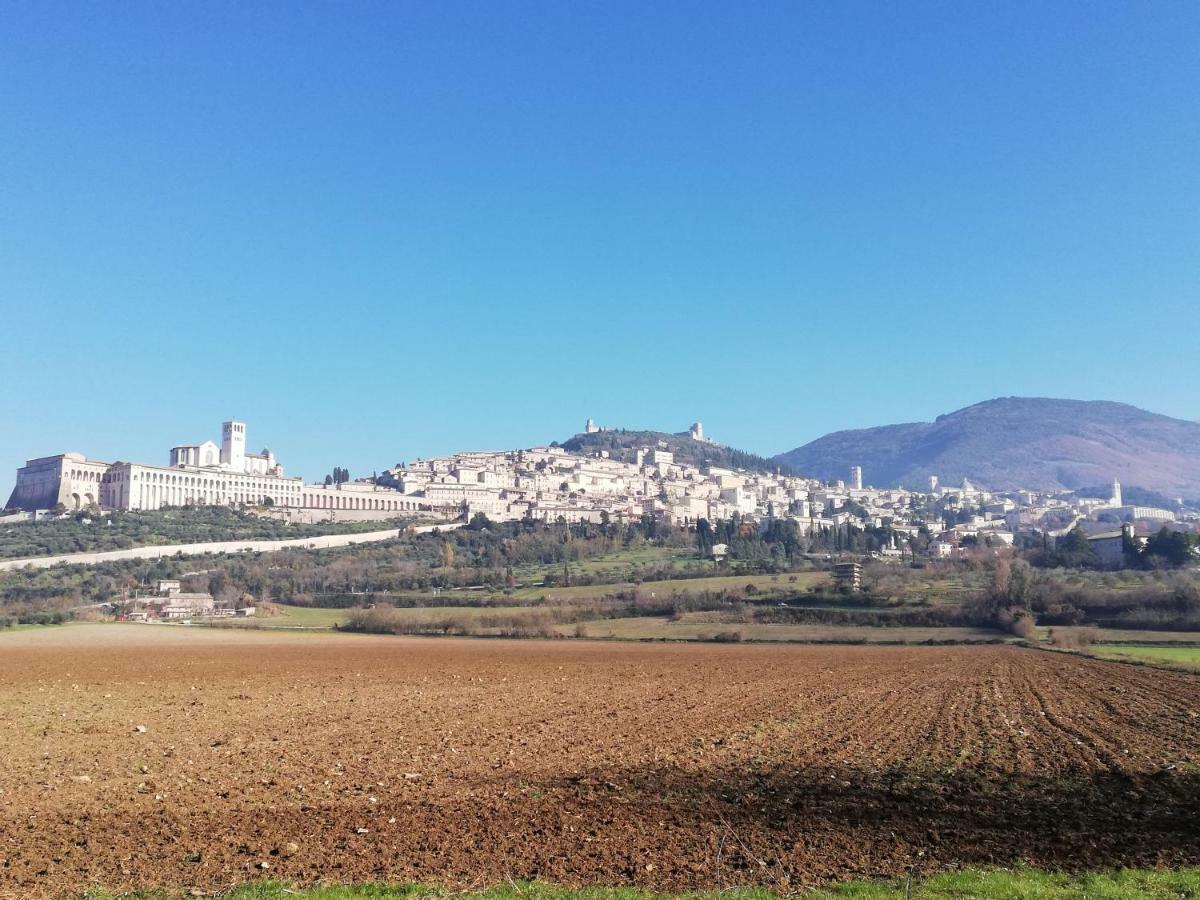 Villa Gina Assisi Exterior foto